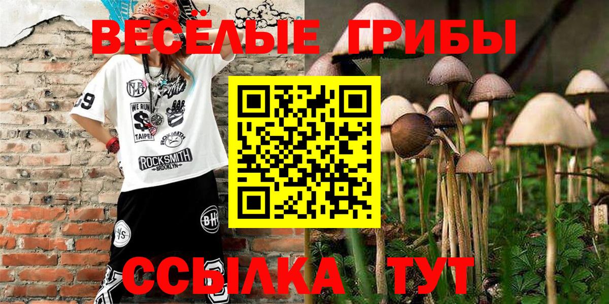 Псилоцибиновые грибы Cubensis  Вход с VPN  Обь 